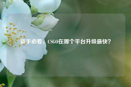 新手必看，CSGO在哪个平台升级最快？