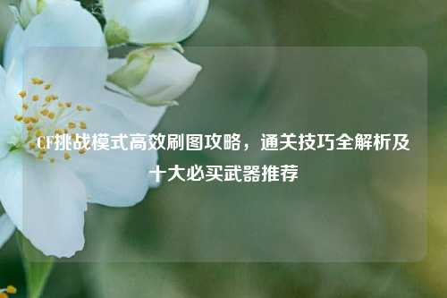 CF挑战模式高效刷图攻略，通关技巧全解析及十大必买武器推荐