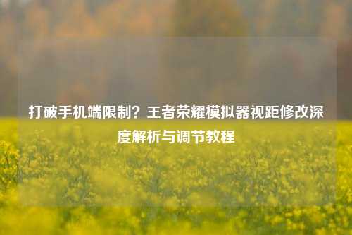 打破手机端限制？王者荣耀模拟器视距修改深度解析与调节教程