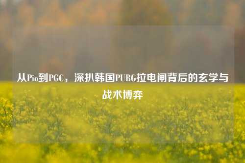 从Pio到PGC，深扒韩国PUBG拉电闸背后的玄学与战术博弈