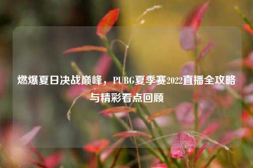 燃爆夏日决战巅峰，PUBG夏季赛2022直播全攻略与精彩看点回顾