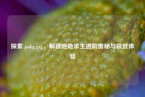 探索 pubg.gxg，解锁绝地求生进阶奥秘与极致体验