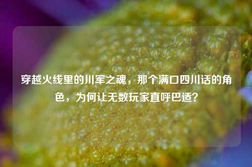 穿越火线里的川军之魂，那个满口四川话的角色，为何让无数玩家直呼巴适？