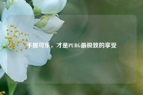 手握可乐，才是PUBG最极致的享受
