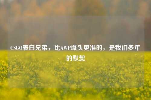 CSGO表白兄弟，比AWP爆头更准的，是我们多年的默契