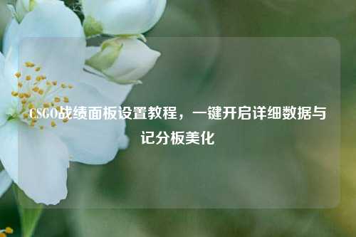 CSGO战绩面板设置教程，一键开启详细数据与记分板美化