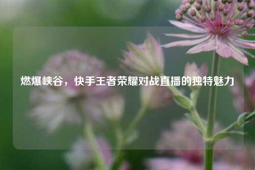 燃爆峡谷，快手王者荣耀对战直播的独特魅力