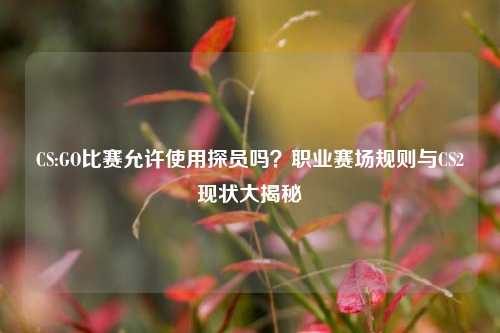 CS:GO比赛允许使用探员吗？职业赛场规则与CS2现状大揭秘