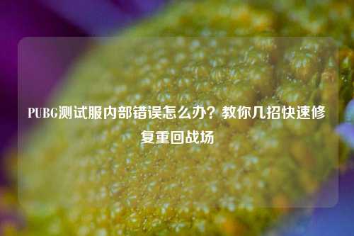 PUBG测试服内部错误怎么办？教你几招快速修复重回战场