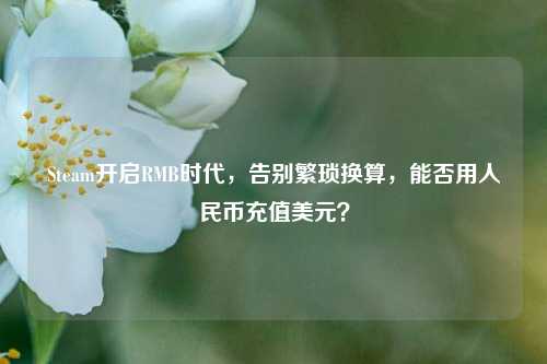 Steam开启RMB时代，告别繁琐换算，能否用人民币充值美元？