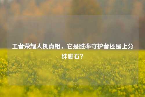 王者荣耀人机真相，它是胜率守护者还是上分绊脚石？