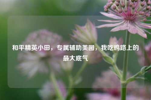 和平精英小田，专属辅助美图，我吃鸡路上的最大底气