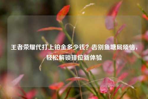 王者荣耀代打上铂金多少钱？告别鱼塘局烦恼，轻松解锁排位新体验