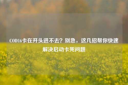 COD16卡在开头进不去？别急，这几招帮你快速解决启动卡死问题