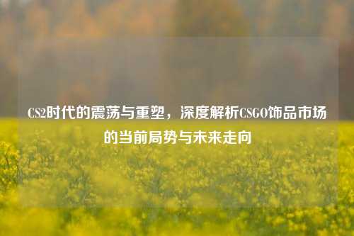 CS2时代的震荡与重塑，深度解析CSGO饰品市场的当前局势与未来走向