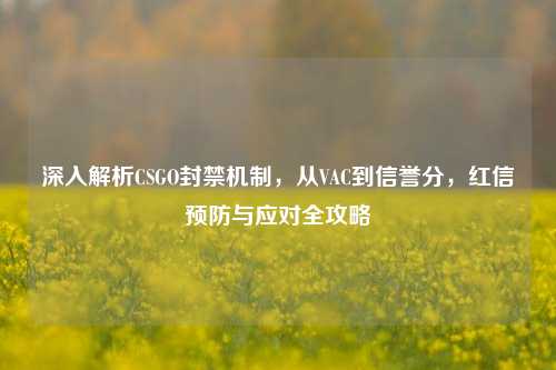 深入解析CSGO封禁机制，从VAC到信誉分，红信预防与应对全攻略