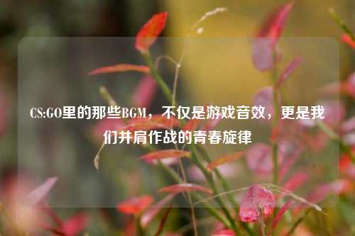CS:GO里的那些BGM，不仅是游戏音效，更是我们并肩作战的青春旋律