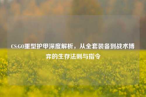 CS:GO重型护甲深度解析，从全套装备到战术博弈的生存法则与指令