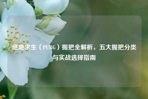 绝地求生（PUBG）握把全解析，五大握把分类与实战选择指南