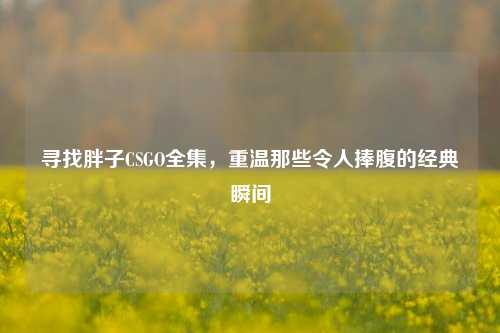 寻找胖子CSGO全集，重温那些令人捧腹的经典瞬间