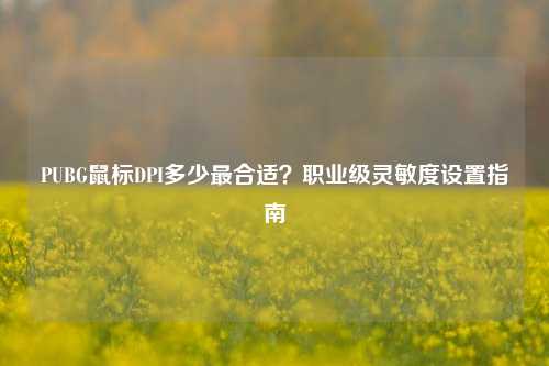 PUBG鼠标DPI多少最合适？职业级灵敏度设置指南